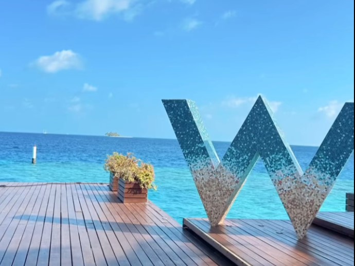 W - 實現夢想的蜜月之旅